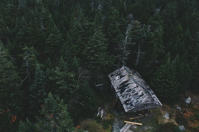 航拍的照片在森林小屋
